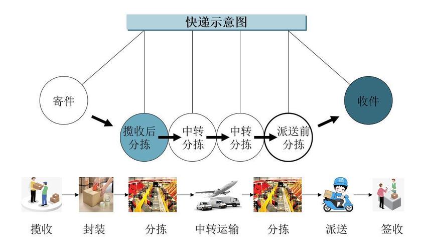 2024年11月 第19页