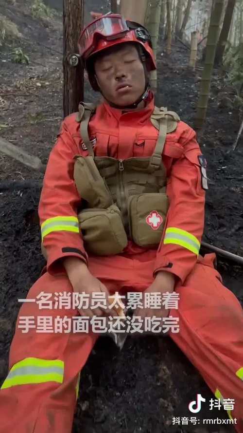 广东山火600人扑救,快递单号查询_123随叫随到