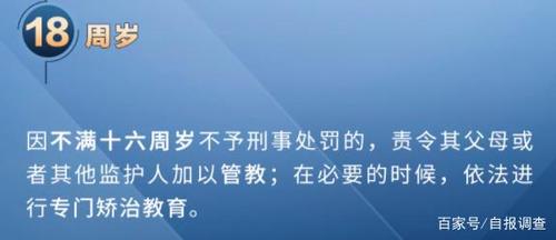 建议降伤人刑责年龄,物流专线直达_123随叫随到