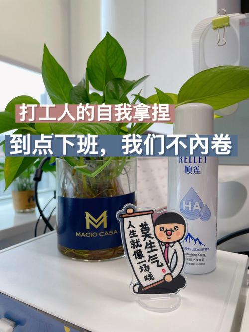 各个大厂开启反内卷,专业的一站式物流信息网_123随叫随到