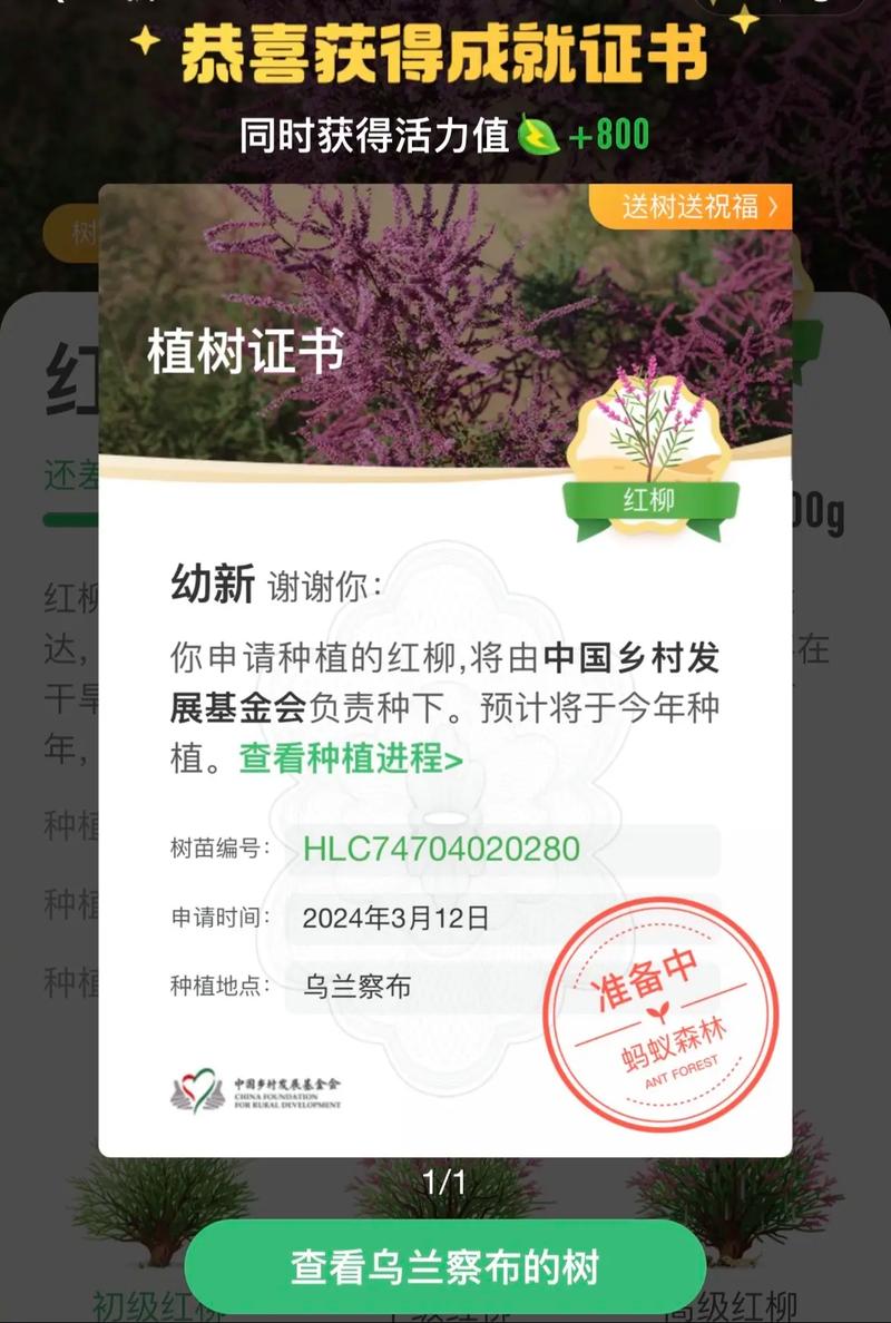 3月12日植树节,专业的一站式物流信息网_123随叫随到